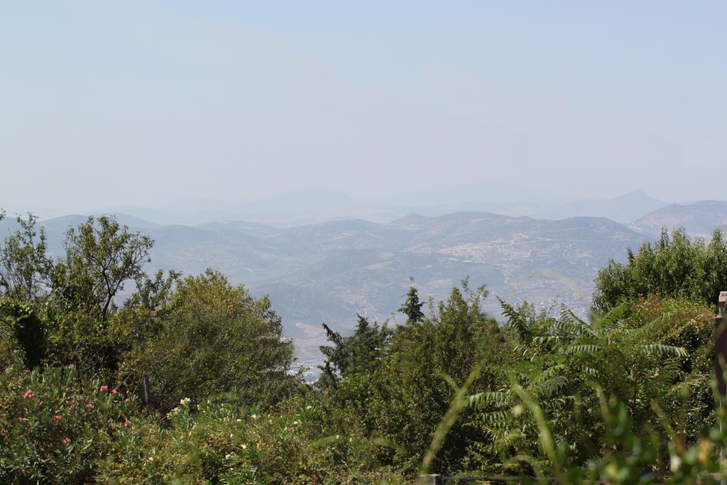 Guesthouse Kolenti Portariá Dış mekan fotoğraf